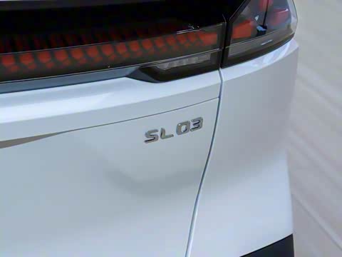 2025�� ���羭���