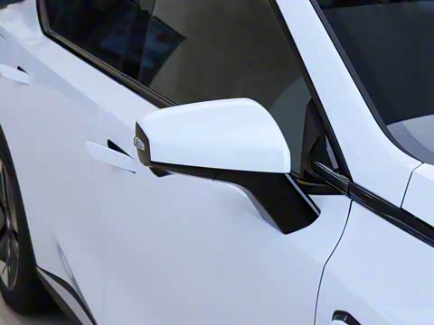 2025�� ���羭���