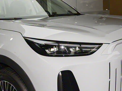 2025�� 120 ���������콢�� 5�� �������