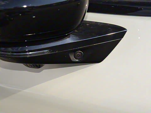 2025�� �������� Max �콢��