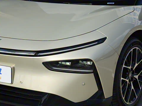 2025�� �������� Max �콢��