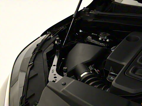 2025�� 25T �����׽��