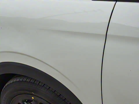 2025�� 310������