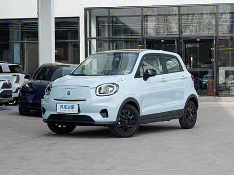 2025�� 310������