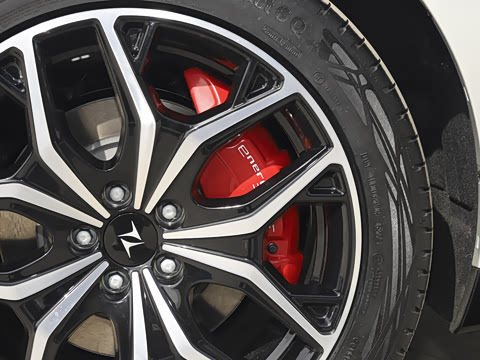 2025�� ���� 565����Max�캽��