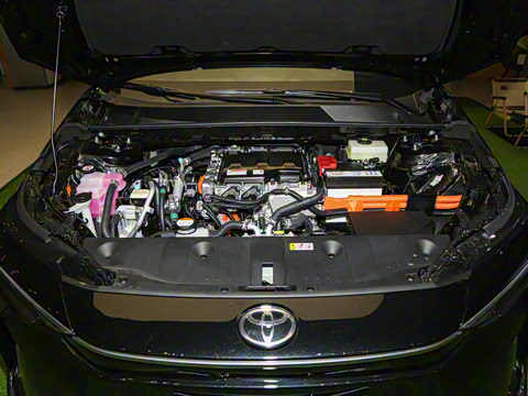 2025�� 560 ����Max��