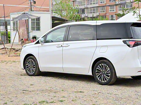 2025�� ½�� ������ 7��