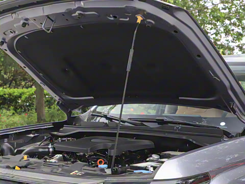 2025�� 2.0T�Զ�������Ӣ�� ����