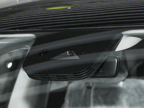 2026�� �鶯������