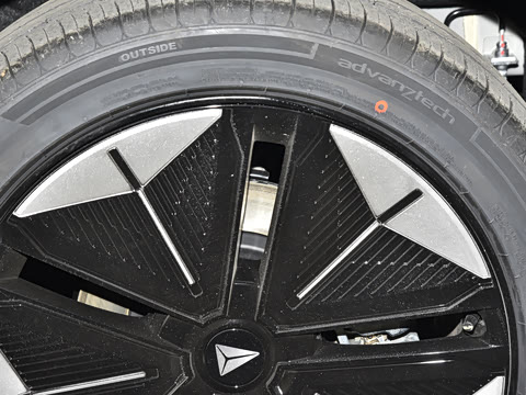 2025�� �����˶���