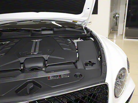 2024�� 4.0T V8 ������