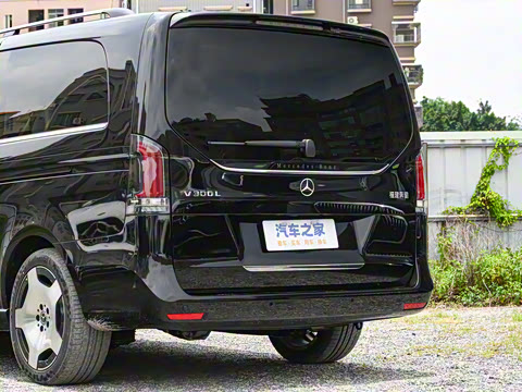 2025�� V 300 L ����������