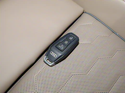 2025�� e-tron �����