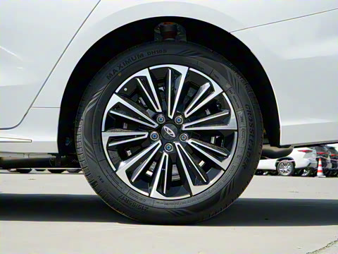 2025�� 145km ������