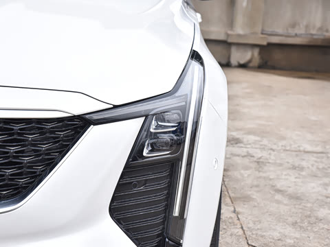 2025�� 28T �����˶���