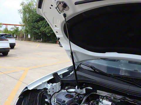 2025�� �Ŀ� ������ 300TSI