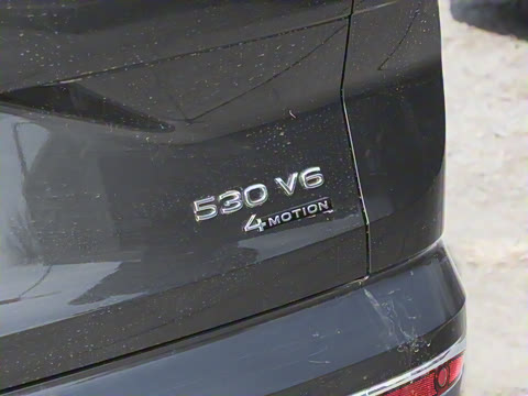 2025�� 530TSI �����콢ʤ��Pro ������ 6��