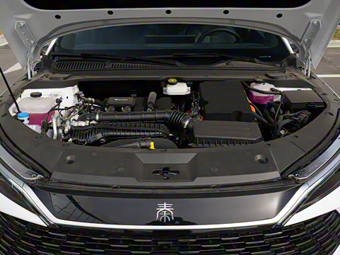 2025�� DM-i �Ǽݰ� 120KM׿Խ��