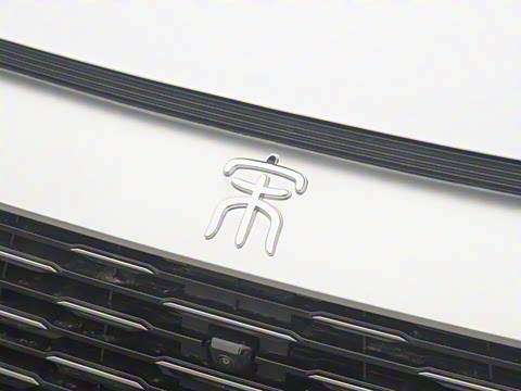 2024�� ��ҫ�� DM-i 110KM׿Խ��