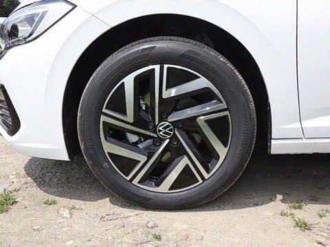 2025�� �Ŀ�� 300TSI DSG��Խ��