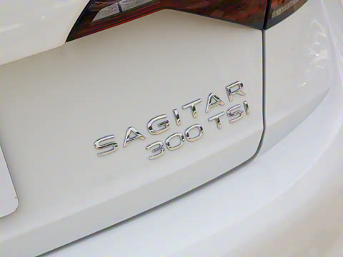 2025�� �Ŀ�� 300TSI DSG��Խ��