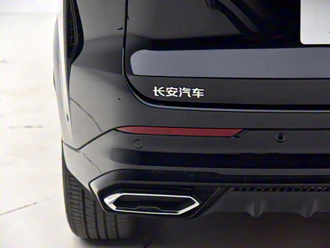 2025�� �ǻ������� 125km ������