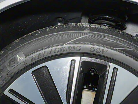 2025�� 165km �������� 5��