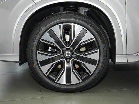 2025�� 165km �������� 5��