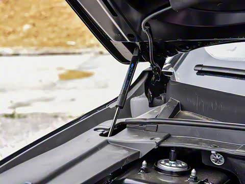 2025�� ������ 7��