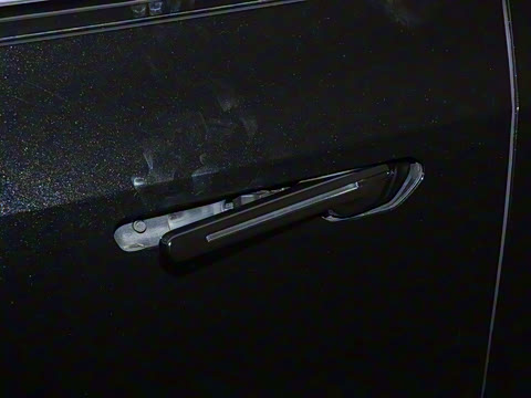 2024�� ������������