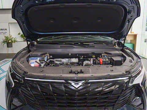 2024�� 1.6T ɽ��� 5��