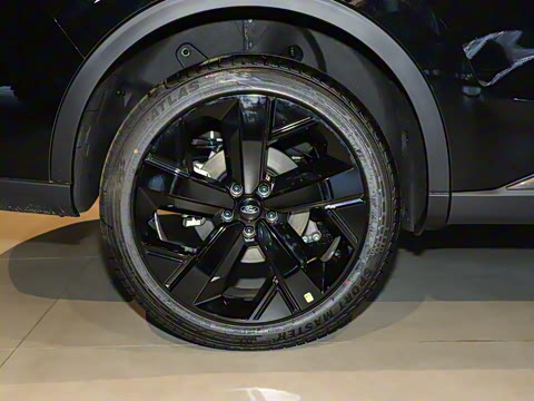 2025�� ������