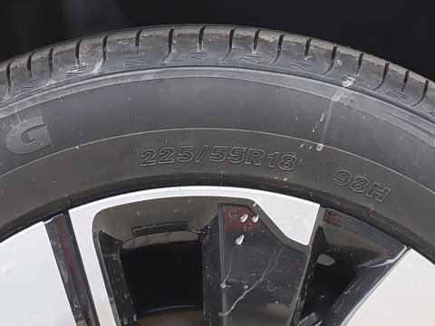 2025�� �������̰� 140��Ӣ��