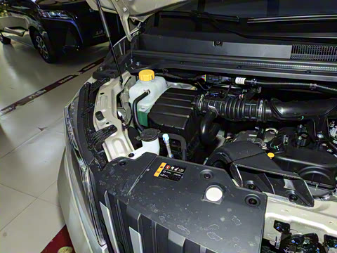 2025�� 1.6L �ֶ����������� 5��