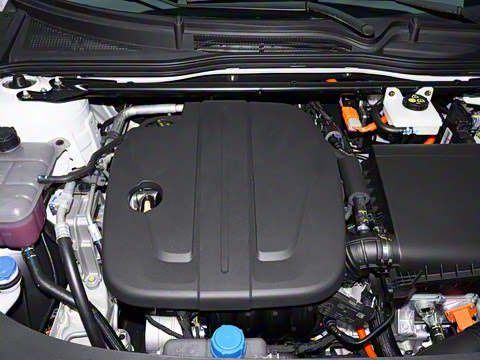 2025�� �������̰� 230�콢��