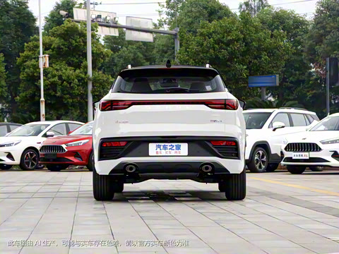 2021�� 300T DCT����������