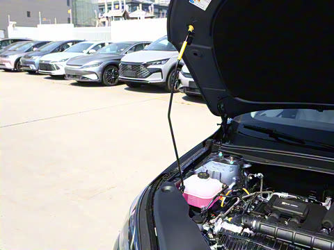 2025�� DM-i �Ǽݰ� 120KM�콢��