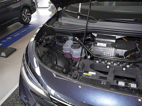 2025�� ������