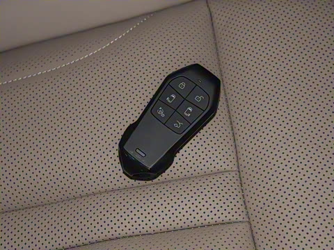 2025�� 650������ Max