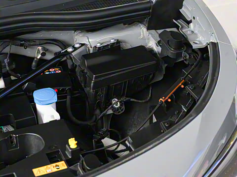 2025�� ������PURE+��