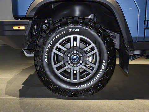 2025�� Trialmaster��