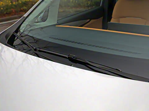 2025�� �캽��