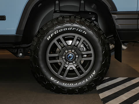 2025�� Trialmaster��