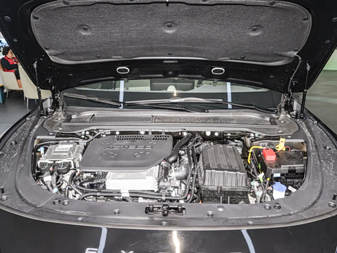 2025�� ���� Max ����������ʻ