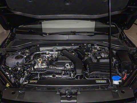 2025�� 300TSI DSG���а�