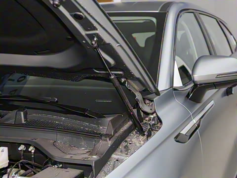 2025�� 100������Plus����