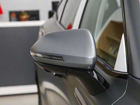 2025�� 100������Plus����