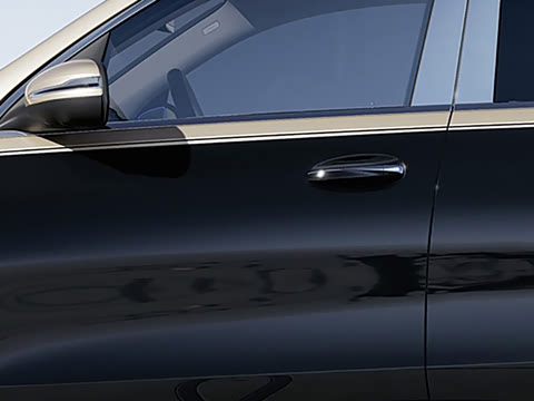 2025�� GLS 600 4MATIC ���ְ�