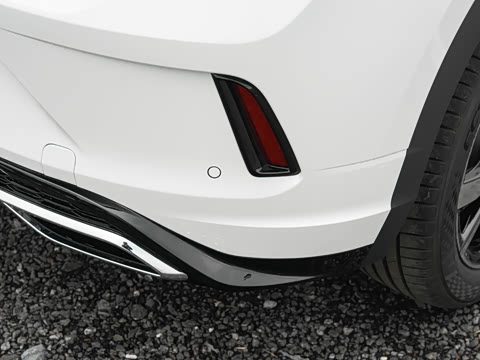 2025�� 300TSI DSG���������