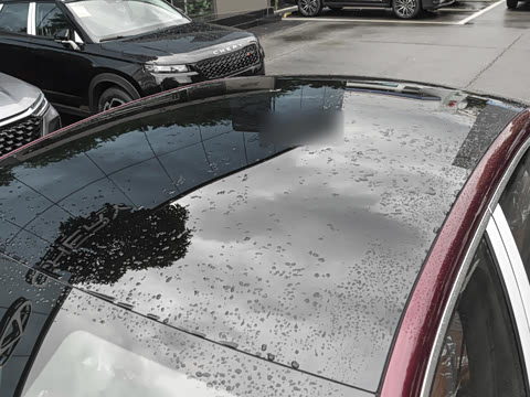 2025�� 260������������